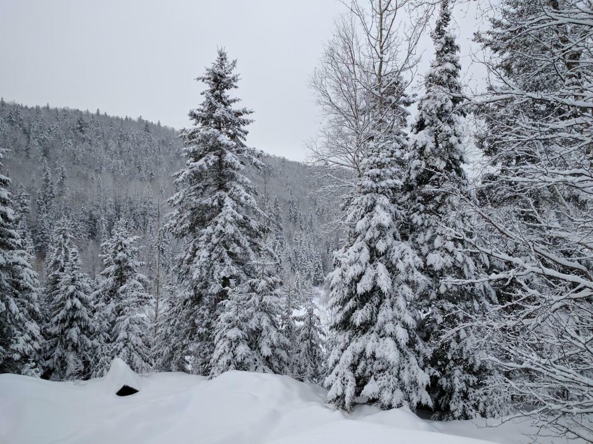 فيلا بلدية سان ألكسيس دي مونتفي Domaine Des Bec St Alexis Des Monts المظهر الخارجي الصورة